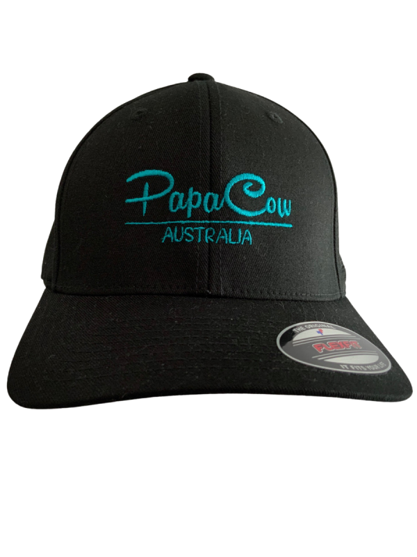 FLEXFIT Perma Curve Baseball Cap - Black, Turquoise Embroidery - Image 2