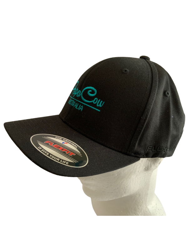 FLEXFIT Perma Curve Baseball Cap - Black, Turquoise Embroidery