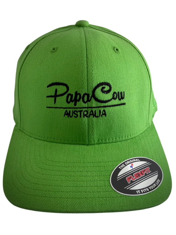 FLEXFIT Perma Curve Baseball Cap - Kiwi Green, Black Embroidery - Image 2