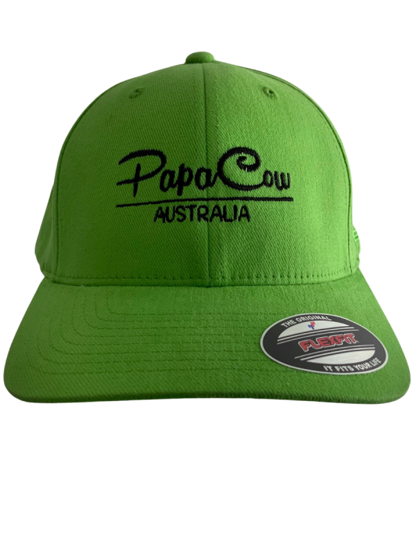 FLEXFIT Perma Curve Baseball Cap - Kiwi Green, Black Embroidery - Image 5