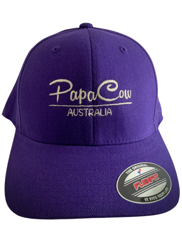 FLEXFIT Perma Curve Baseball Cap - Purple, Bone Embroidery - Image 2