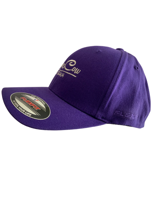FLEXFIT Perma Curve Baseball Cap - Purple, Bone Embroidery