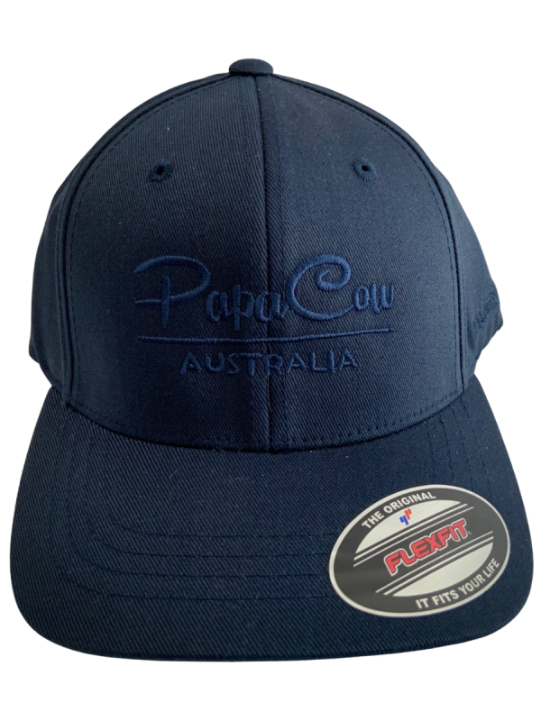 FLEXFIT Perma Curve Youth Baseball Cap - Navy, Blue Embroidery