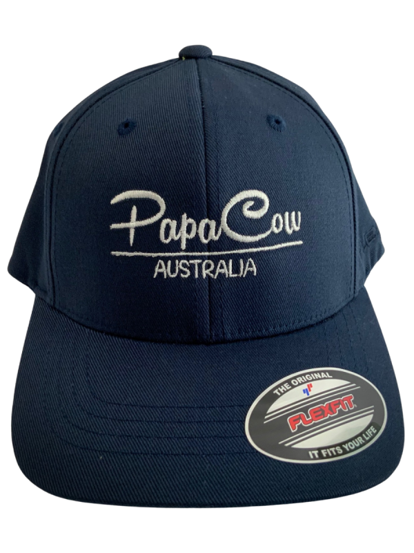 FLEXFIT Perma Curve Youth Baseball Cap - Navy, White Embroidery