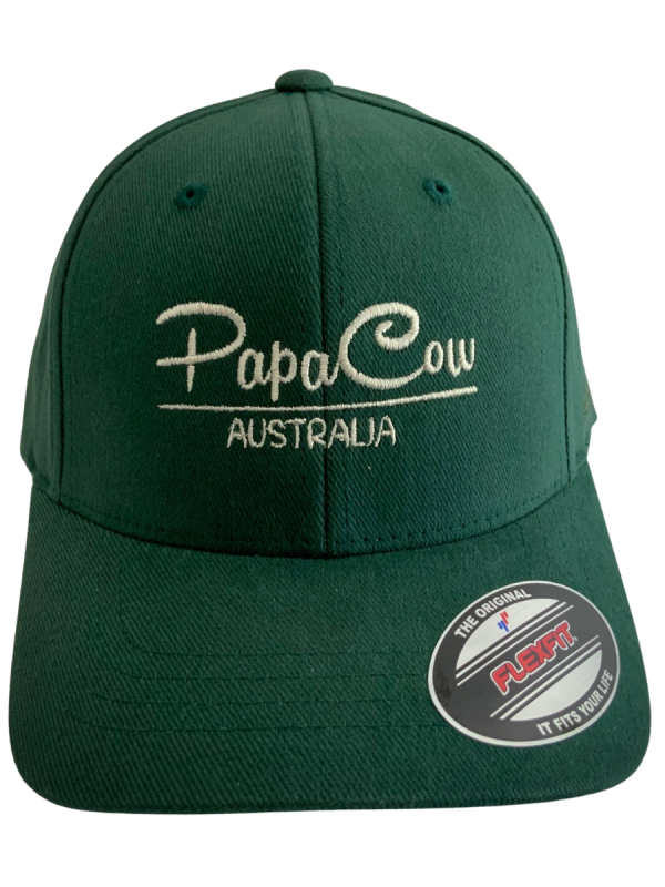 FLEXFIT Perma Curve Youth Baseball Cap - Spruce, Bone Embroidery