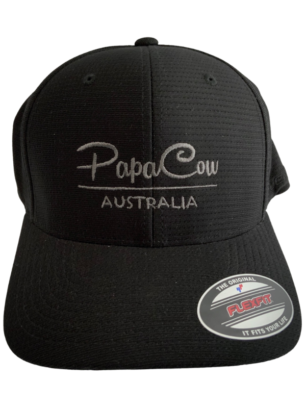 FLEXFIT Cool & Dry Cap - Black, Charcoal Embroidery