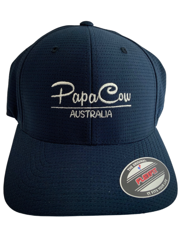 FLEXFIT Cool & Dry Cap - Navy, White Embroidery