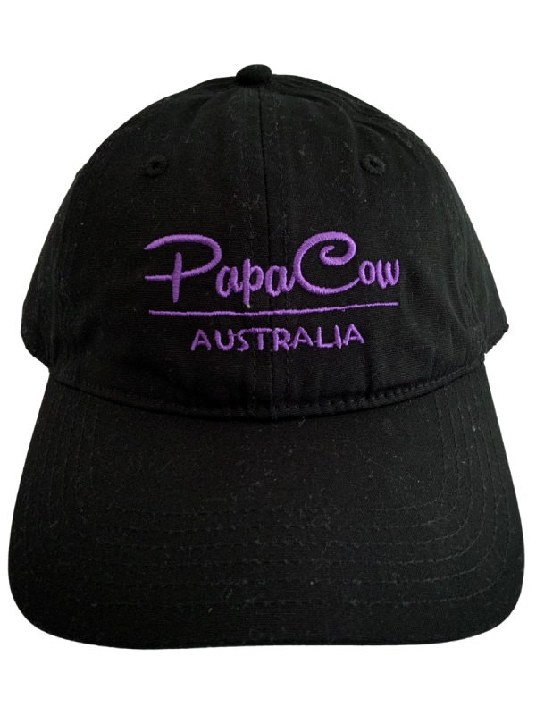 Davie Cap - Black, Purple Embroidery - Image 5