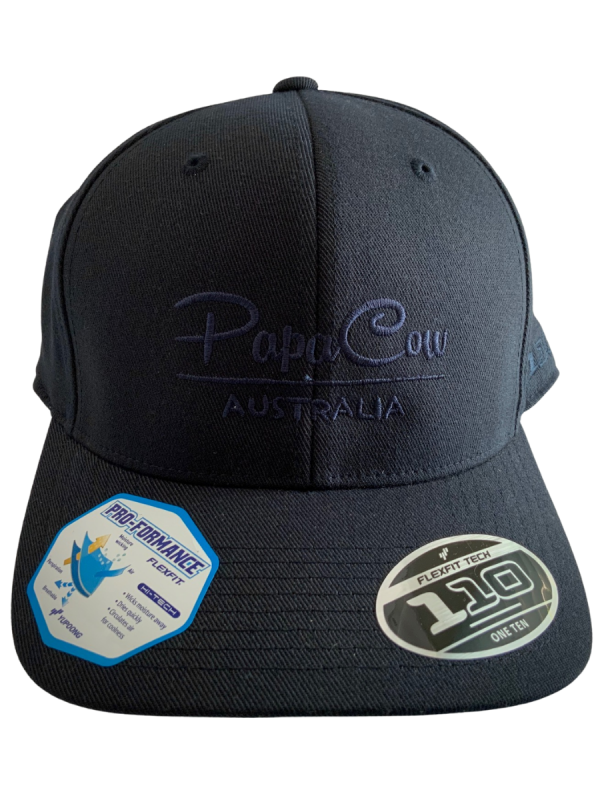 FLEXFIT Cotton Twill Snapback Curved Peak Cap - Dark Navy, Blue Embroidery