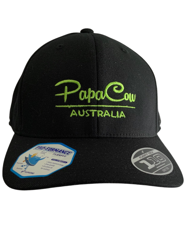 FLEXFIT Cotton Twill Snapback Curved Peak Cap - Black, Lime Green Embroidery - Image 3