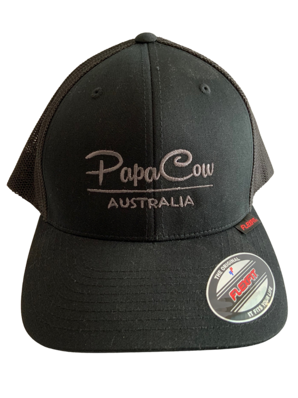 FLEXFIT Trucker Mesh Back - Black, Charcoal Embroidery - Image 2