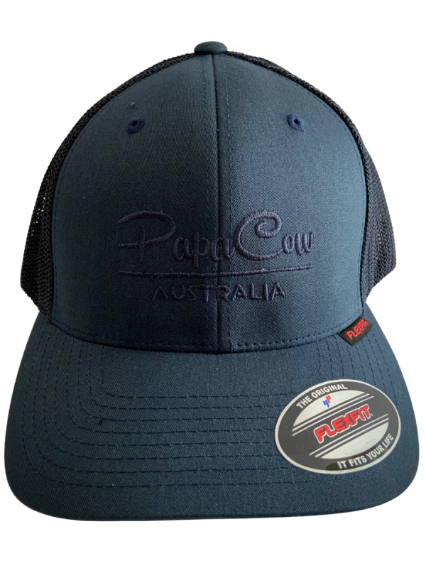 FLEXFIT Trucker Mesh Back - Dark Navy, Blue Embroidery - Image 2
