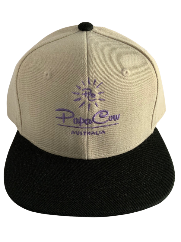 Frack Snapback Cap - Bone/Black, Purple Embroidery - Image 5