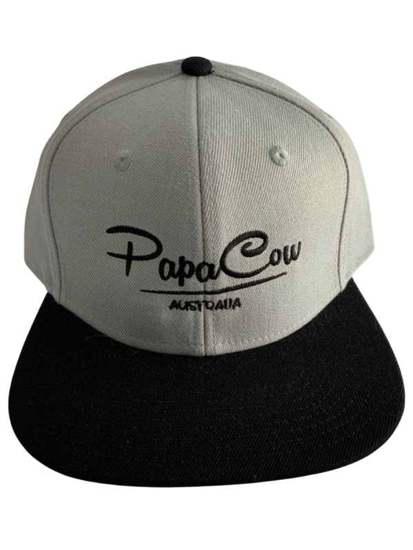 Frack Snapback Cap - Grey/Black, Black Embroidery