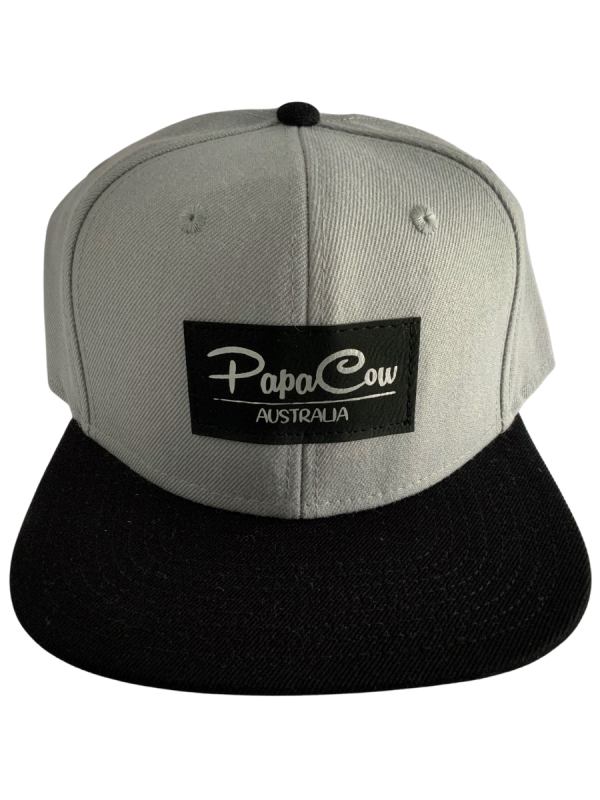 Frack Snapback Cap - Grey/Black, Black & Silver Tag - Image 2