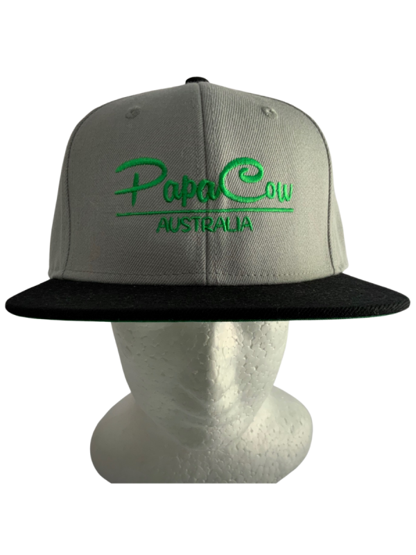 Frack Snapback Cap - Grey/Black, Green Embroidery - Image 3