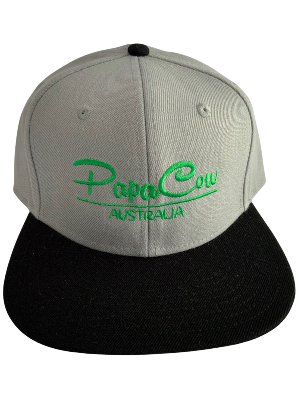 Frack Snapback Cap - Grey/Black, Green Embroidery