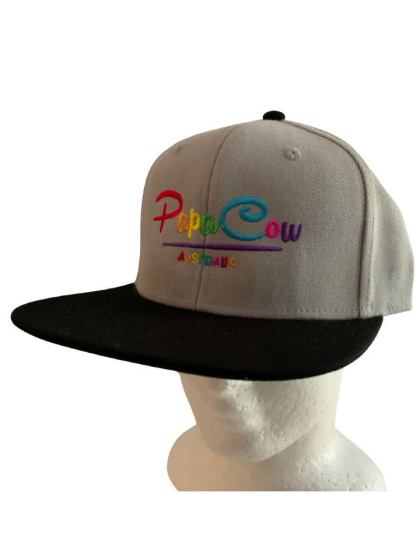 Frack Snapback Cap - Grey/Black, Rainbow Embroidery