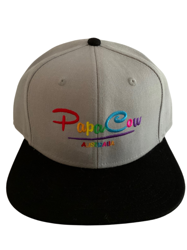 Frack Snapback Cap - Grey/Black, Rainbow Embroidery - Image 3